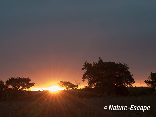 Zonsopkomst, Groote Peel 4 131012