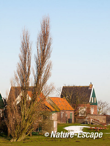 Restje sneeuw op Marken 1 280113