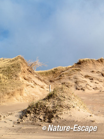 Duinafslag, duinerosie, Strand Heemskerk 2 02013