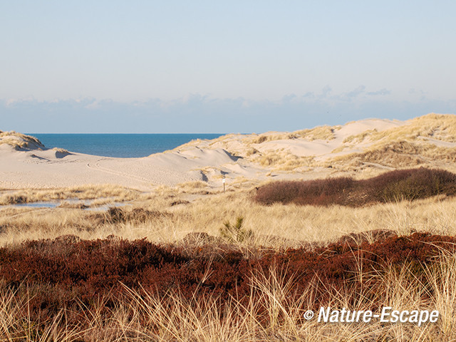 De Kerf, landschap De Kerf, SBB Schoorl 1 210213