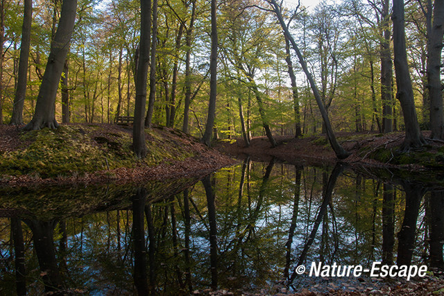 Landschap, buitenplaats, Hilverbeek, Natuurmonumenten 5 010513