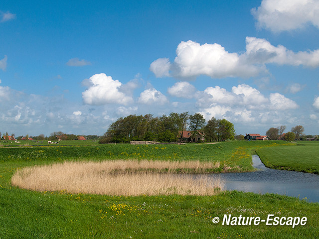 Wiel, of kolk, Noordeindermeerpolder 3 090513