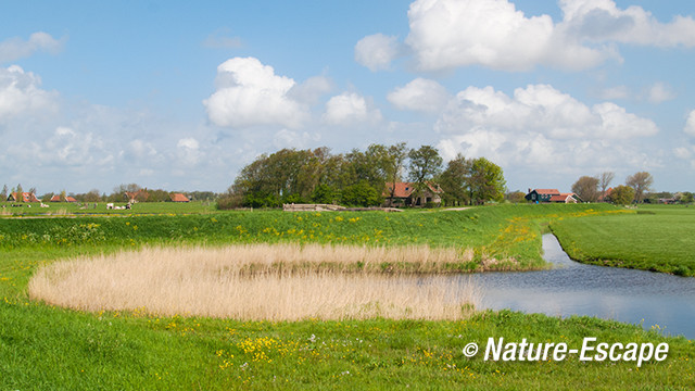 Wiel, of kolk, Noordeindermeerpolder 2v3 090513