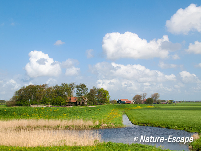 Wiel, of kolk, Noordeindermeerpolder 1 090513