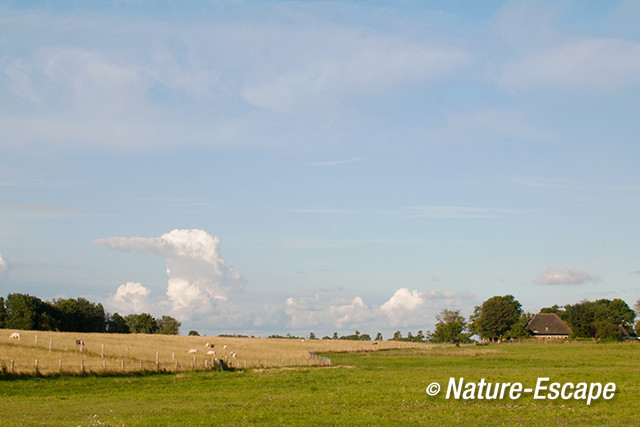 Landschap bij polder Vatrop, Oosterland 1 140813