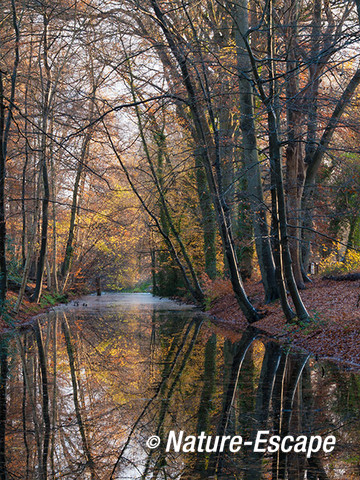 De Hilverbeek, herfst, Hilverbeek Natuurnmonumenten 1 301113