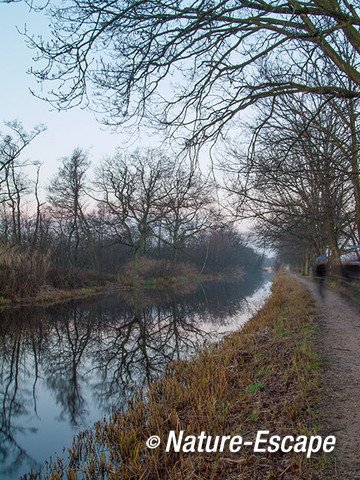 Bomen, reflectie in water, langs fietspad, fietsers, Ankeveense Plassen 3 291213 