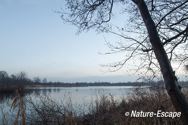 Landschap, Ankeveense Plassen 2 291213