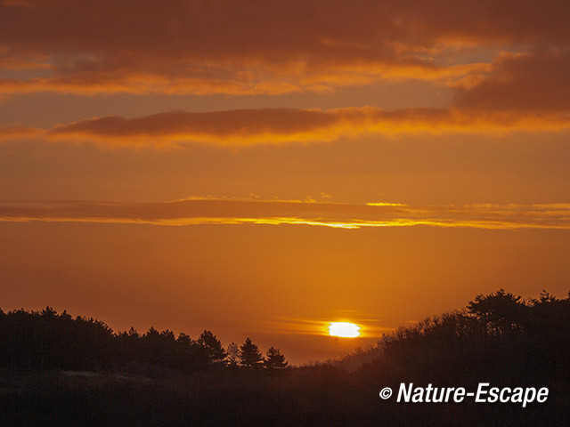 Zonsopkomst, opkomende zon, boven de duinen, NHD Bergen 1 020214