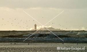 Deining bij Noordpier 2