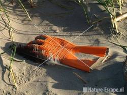 Oranje handschoen op strand Noordpier 3