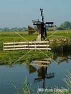 Watermolentje Wormer- en Jisperveld 1