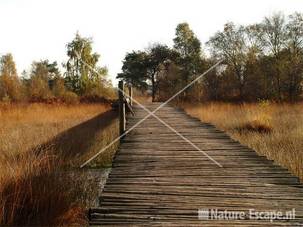 Knuppelbrug in de Groote Peel 2