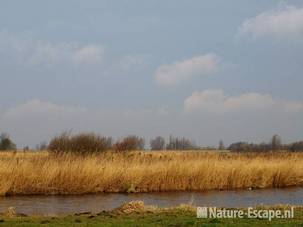 Rietveld Zwaansmeerpad 2