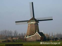 Tweede Broekermolen, achterzijde Uitgeest 1