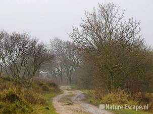 Wandelpad in Zwanenwater Zww1