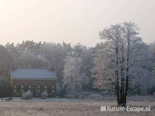 Bij de Kruisberg NHD Heemskerk 2 311208