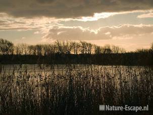 Hoefijzermeer bij tegenlicht NHD Castricum 1