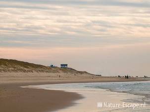 Strand bij de Kerf Schoorl en Bergen aan Zee 1 180209