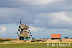 Dorregeester molen, Uitgeest  2 290309