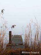 Steigertje, in de mist, bij Uitgeestermeer, Zwmp1 060210