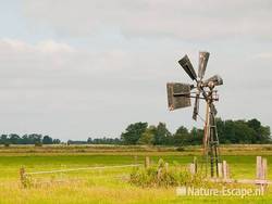 Watermolentje, Womer- en jisperveld 1 040711