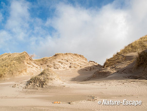 Duinafslag, duinerosie, Strand Heemskerk 8 02013