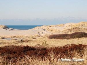 De Kerf, landschap De Kerf, SBB Schoorl 1 210213