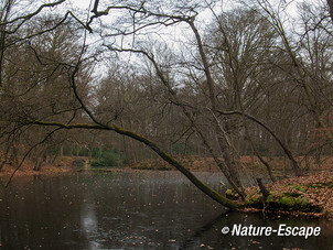 Doorkijkje, buitenplaats Hilverbeek, Natuurmonumenten 3 230213