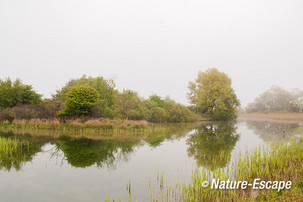 Infiltratiekanaal, AWD3 010413