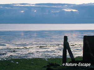 Het Wad, Waddenzee, laag tij, bij Den Oever 3 140813