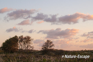 Duinlandschap, in vroeg ochtendlicht, Zwanenwater 2 241013