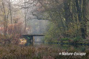 Landschap, boslandschap, Jac P Thijssepark, Amstelveen 2 290314