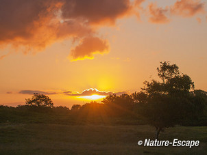 Zonsopkomst, opkomende zon, AWD1 160814